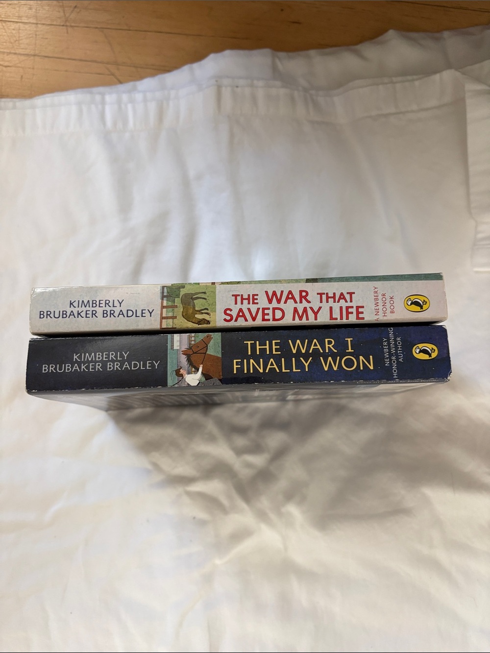Kimberly Brubaker Bradley Award-Winning books